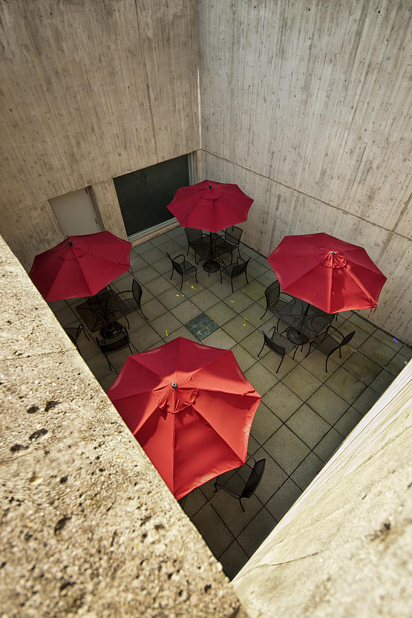 Four Red Umbrellas Photograph by Roni Chastain
