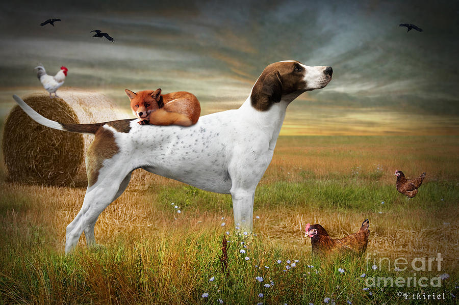 Bird Photograph - Foxhound And Fox Landscape #1 by Ethiriel Photography