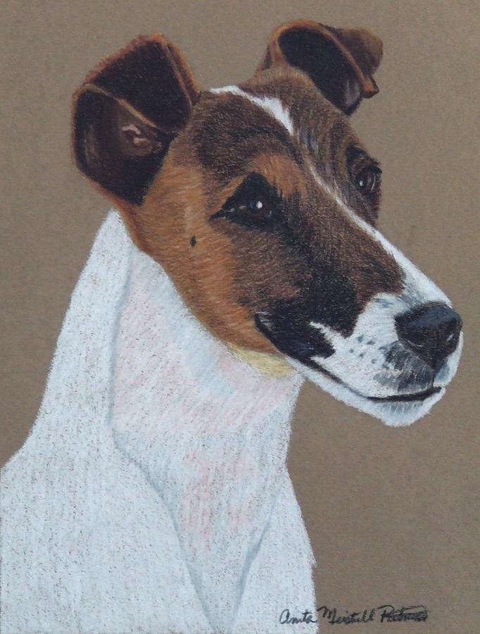 Fox Terrier Vignette Drawing by Anita Putman