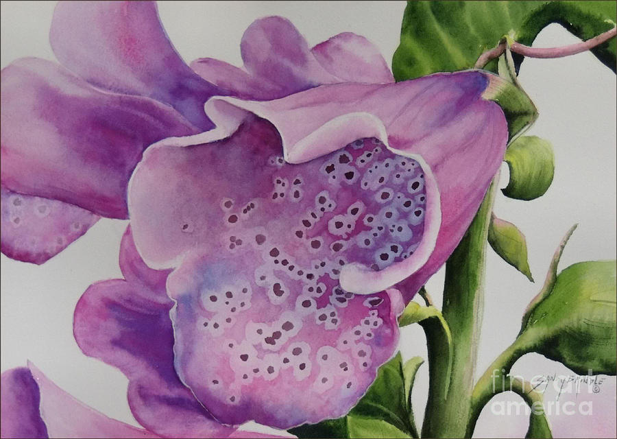 Foxgloves  Painting by Sandy Brindle