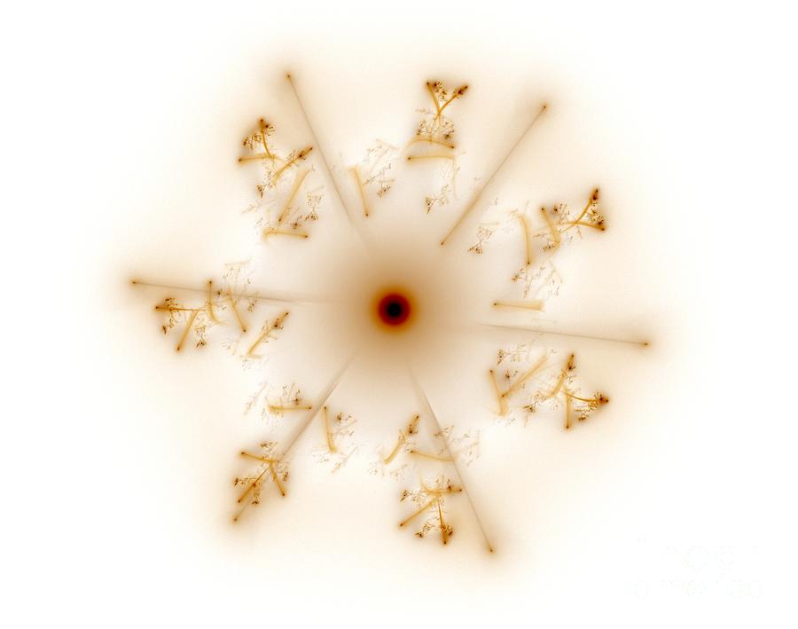 Fractal brown star Digital Art by Henrik Lehnerer