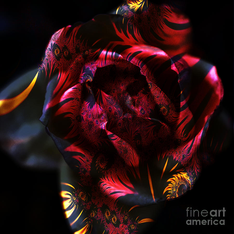 Fractal Floral Photograph by Clayton Bruster