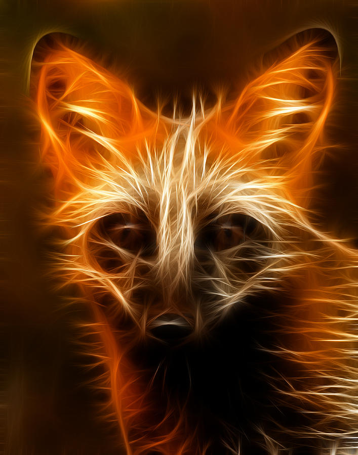 Fractal Fox Photograph by Wade Aiken