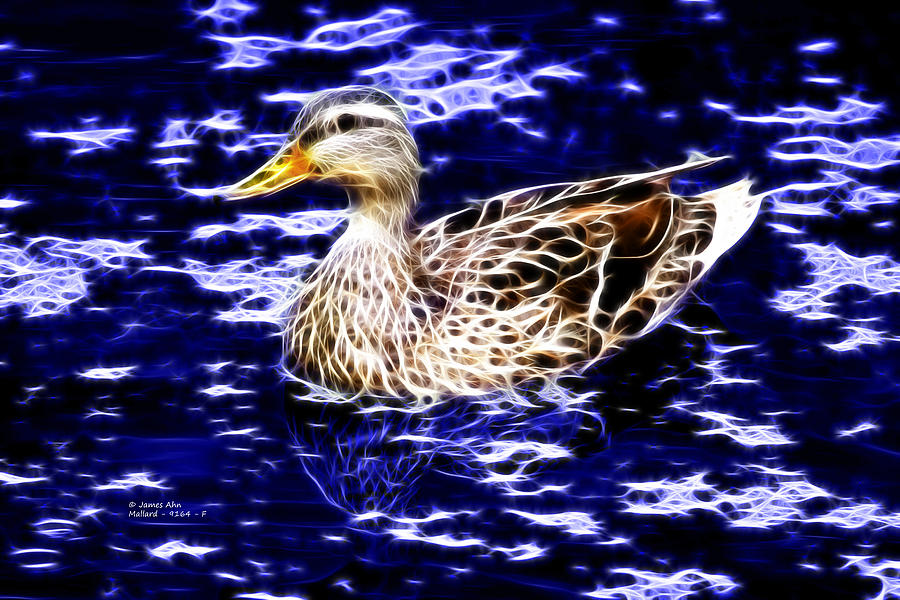 Fractal - Mallard In Pond- 9164 Digital Art by James Ahn