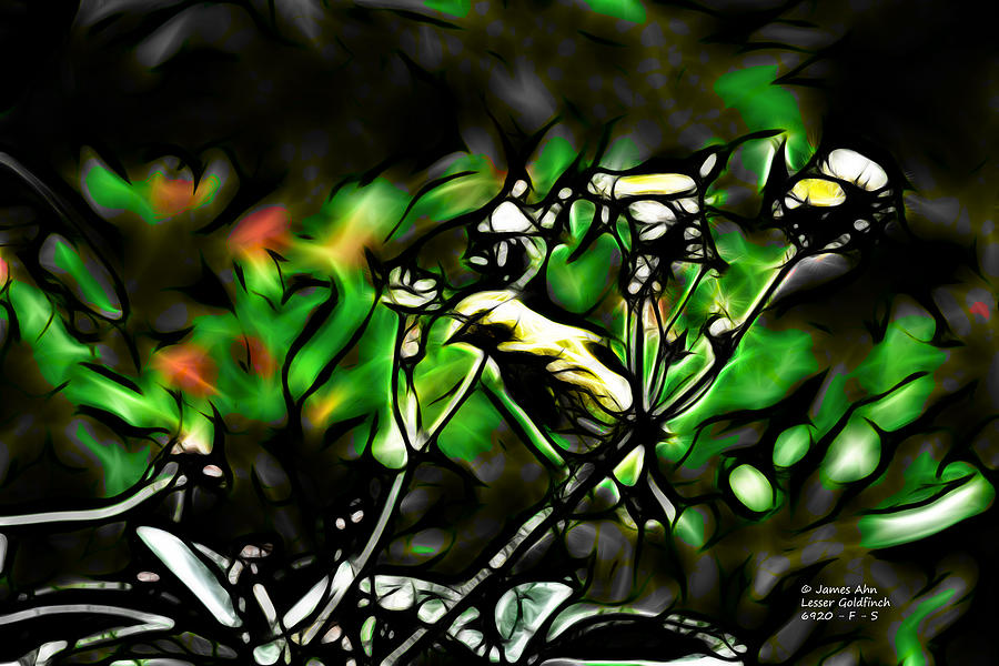 Fractal S - Take a Look - Lesser Goldfinch Digital Art by James Ahn