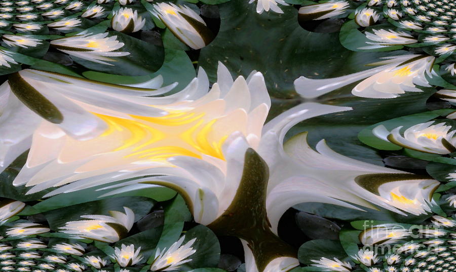 Fractal Transform of Flower Digital Art by Stanley Morganstein