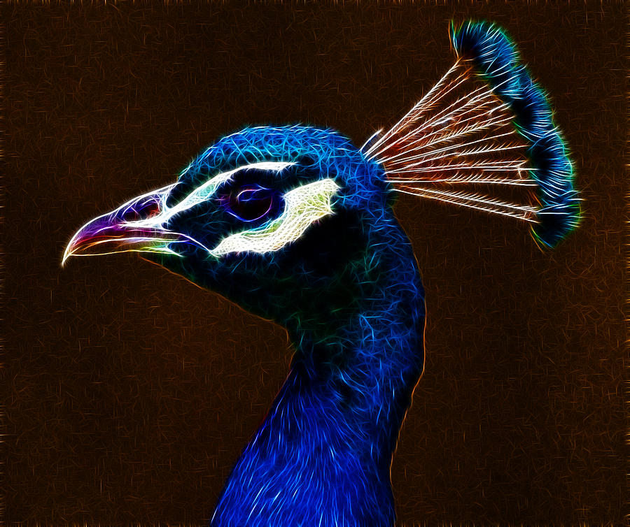 Fractalius Peacock Photograph by Chris Thaxter