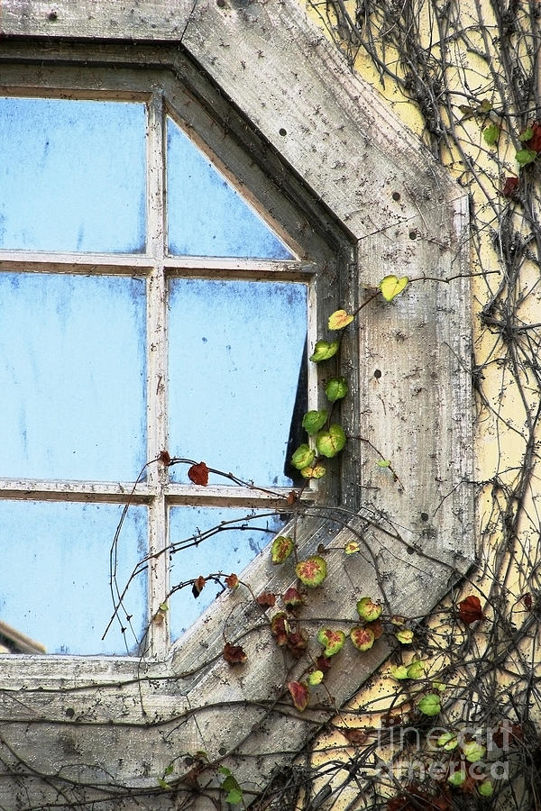 Framed Autumn Blue Photograph by Ellen Cotton