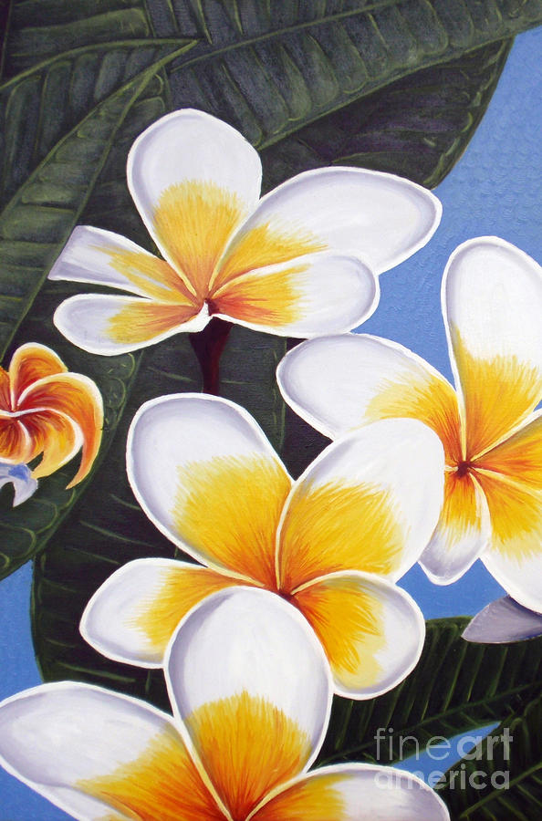 Frangipani I Painting by Tatjana Popovska - Fine Art America