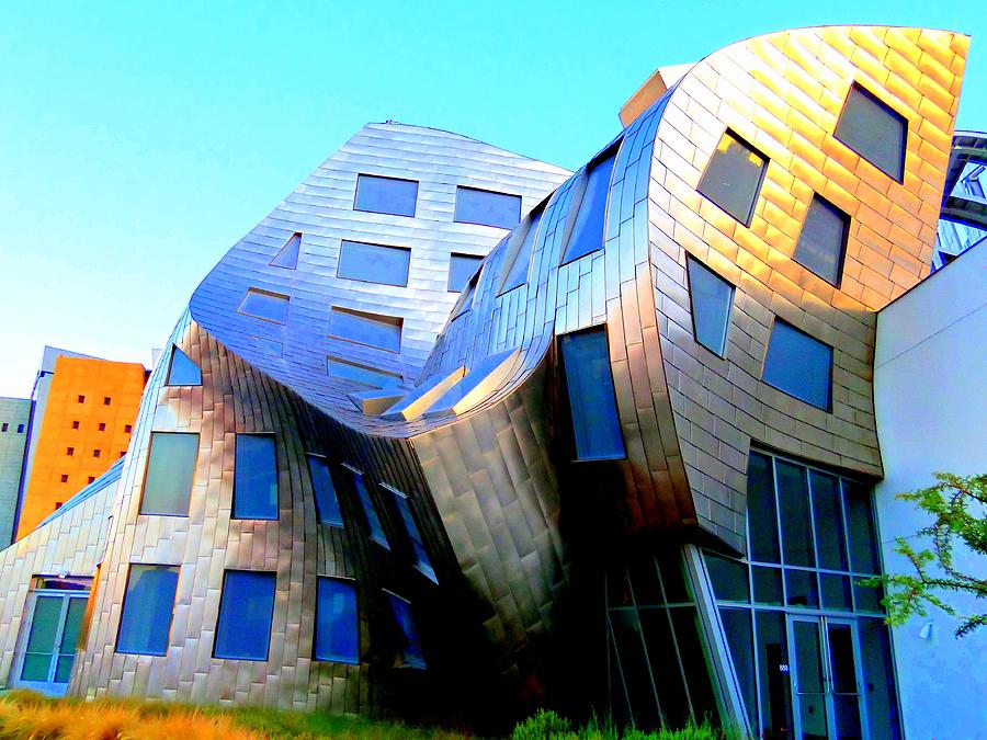 Frank Gehry 7 Photograph by Randall Weidner | Fine Art America