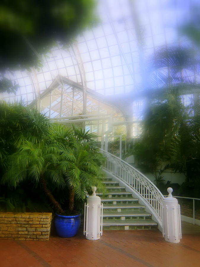 Franklin Park Conservatory Photograph by Mindy Newman