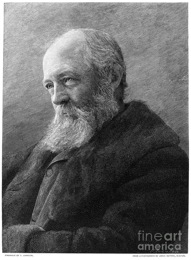 Frederick Law Olmsted Photograph by Granger