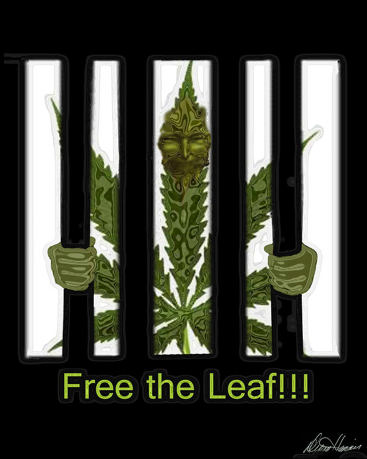 Free The Leaf Digital Art by Diana Haronis