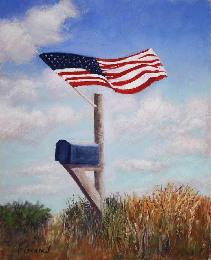 Flag Pastel - Freedom by Carol Conrad