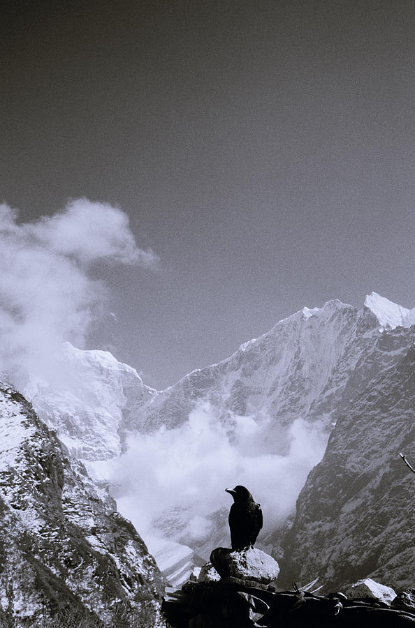 Himalayan Enchanting Solitude Photograph by Shaun Higson