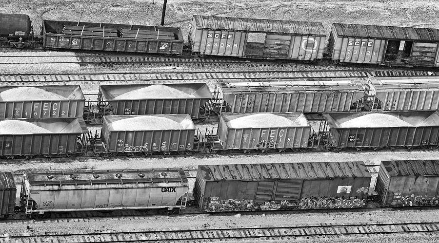 Train Photograph - Freight Trains by Patrick Lynch