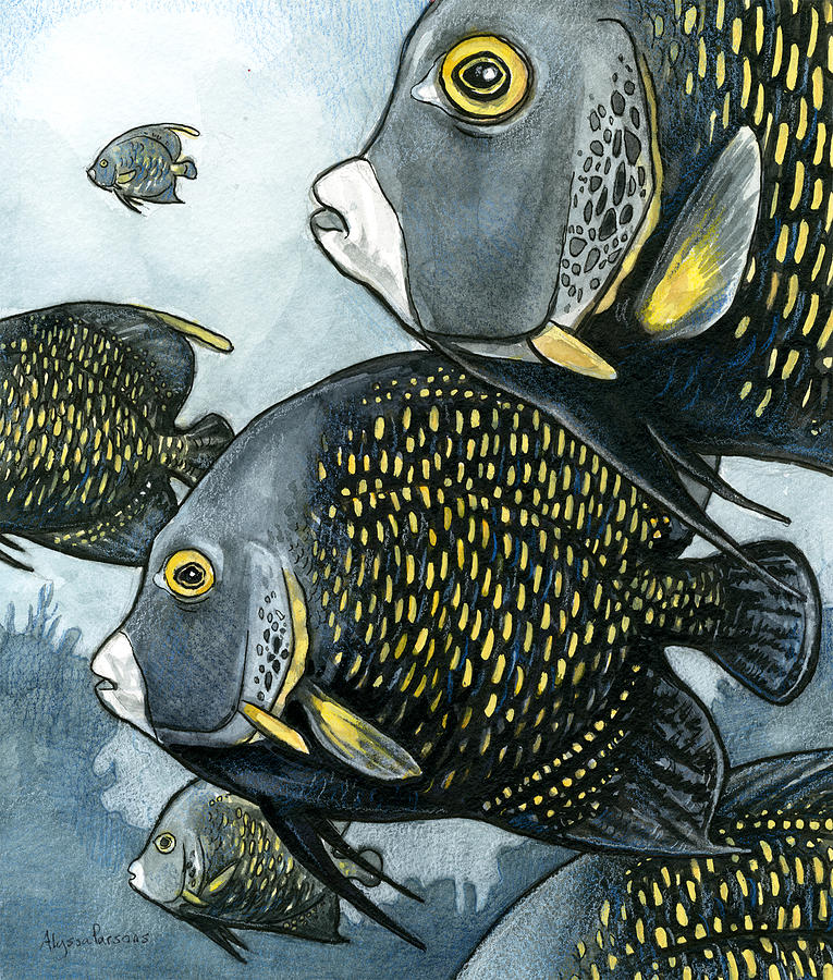 French Angelfish Painting by Alyssa Parsons