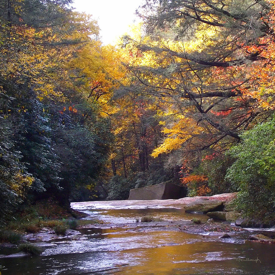 French Broad River in the Fall Photograph by Duane McCullough