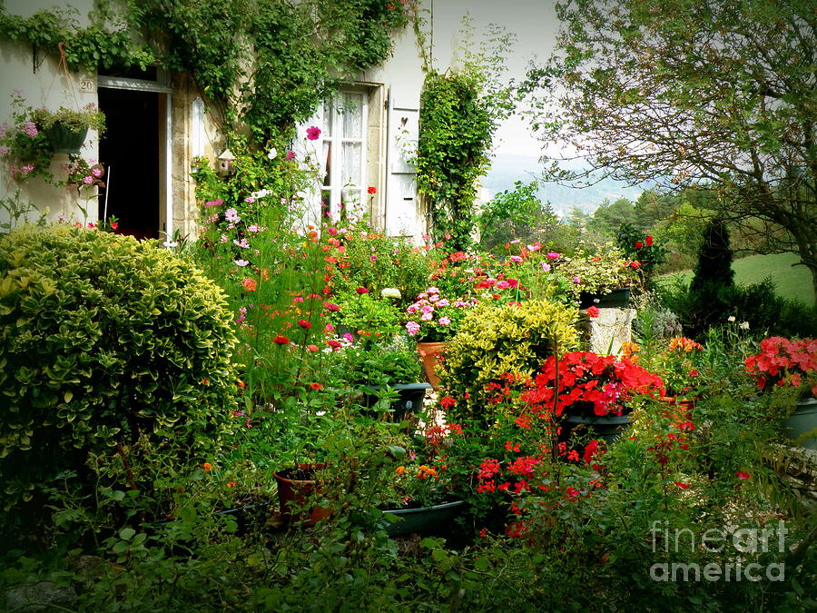 French Cottage Garden Photograph by Lainie Wrightson