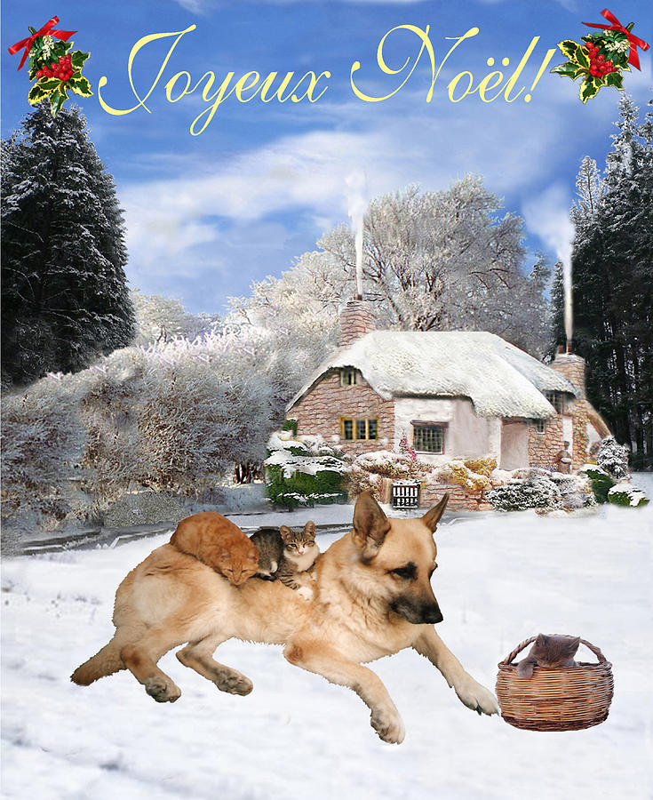 Hollywood Mixed Media - French German Shepherd Holiday by Eric Kempson