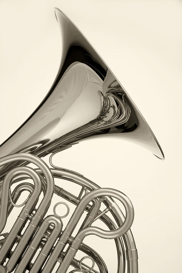 French Horn Isolated On White Photograph by M K Miller