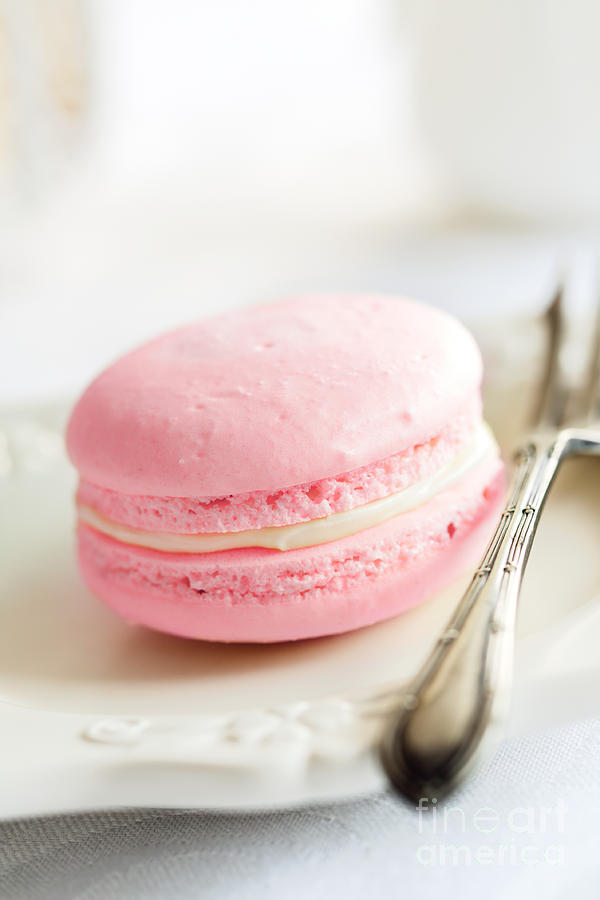 Cookie Photograph - French macaron by Ruth Black