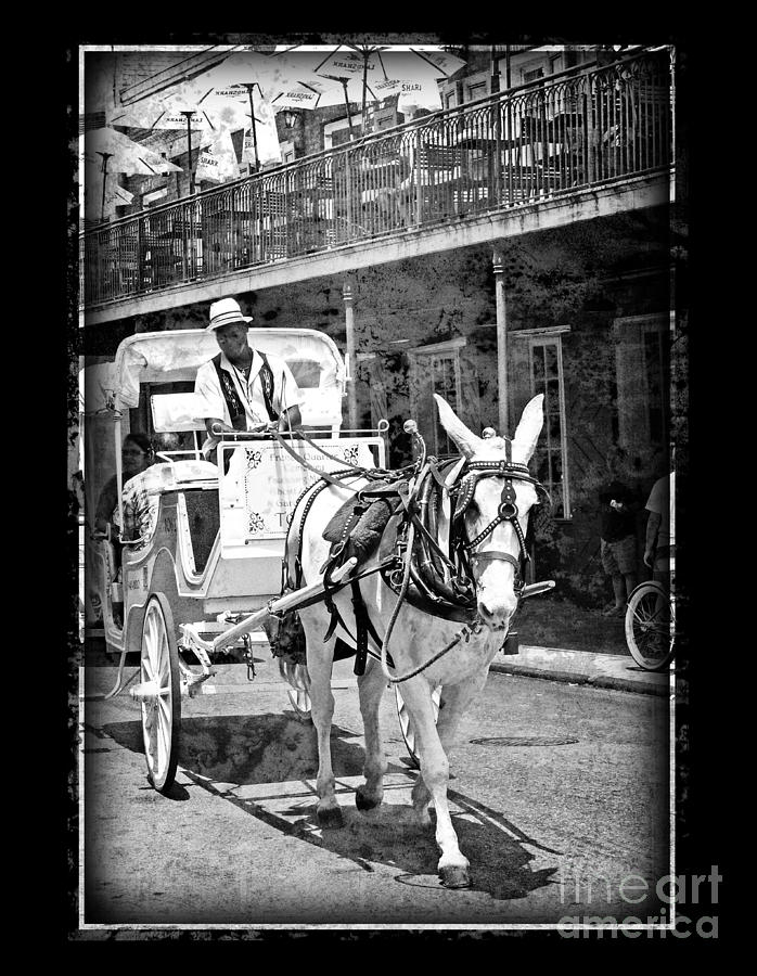 French Quarter Carriage Photograph by Jeanne  Woods