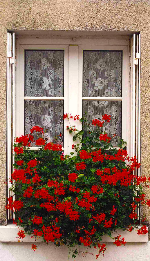 France Photograph - French Window by Denise Laurin France Photograph - French Window by Denise Laurin