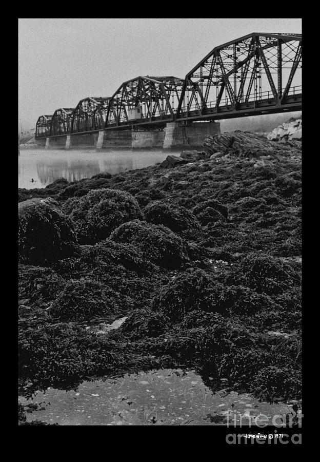 Frenchmans Bay Rr Bridge Photograph by Jonathan Fine