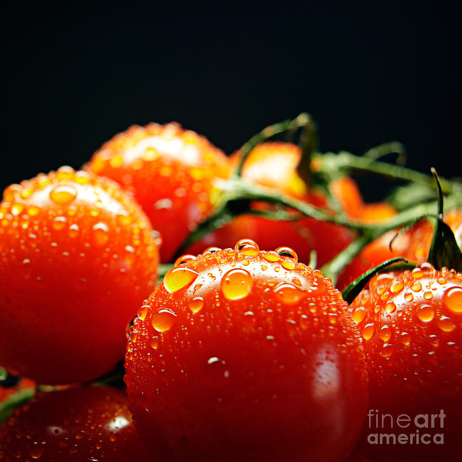 Fresh and red Photograph by Andreas Berheide