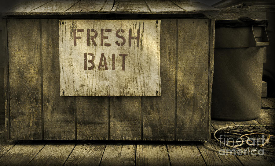 Fresh Bait - Rodanthe Fishing Pier  Photograph by Anne Kitzman