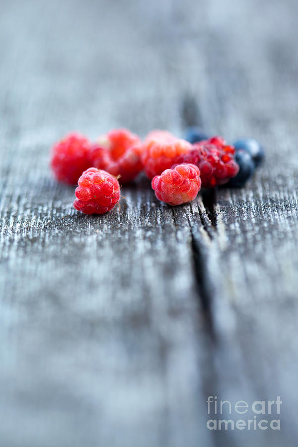 Fresh berries Photograph by Kati Finell