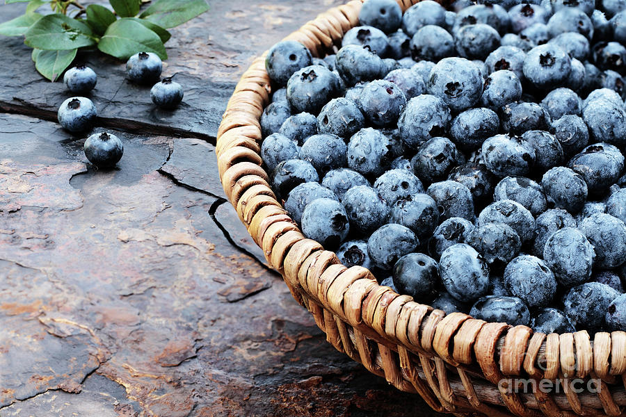 Blueberry Photograph - Fresh Blueberries by Stephanie Frey
