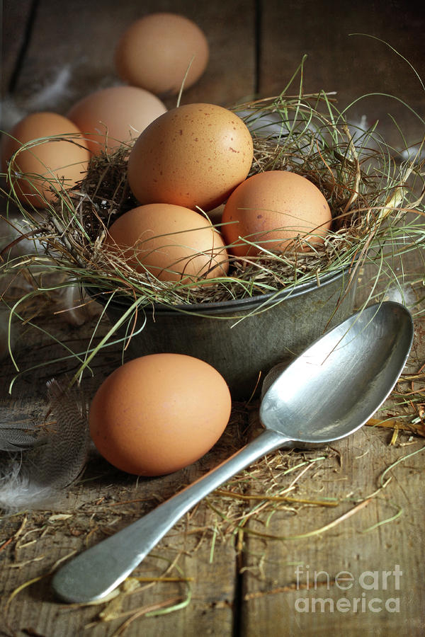 Fresh brown eggs in old tin container with spoon  Photograph by Sandra Cunningham