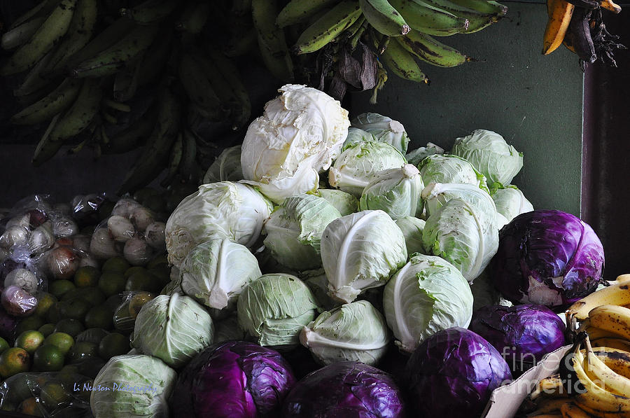 Fresh Cabbage For Sale Photograph by Li Newton