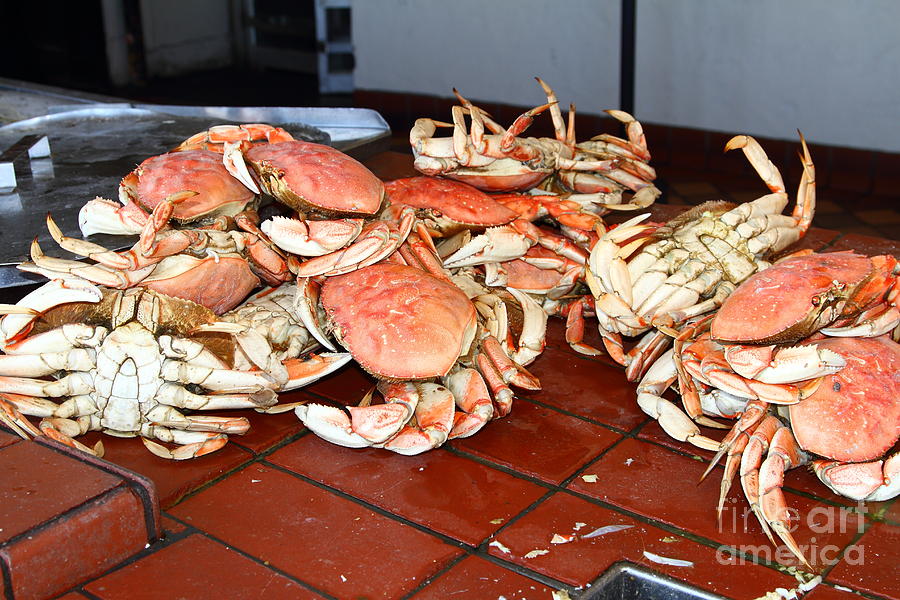 Fresh Cooked Crabs At Fishermans Wharf . San Francisco California . 7D14459 Photograph by Wingsdomain Art and Photography