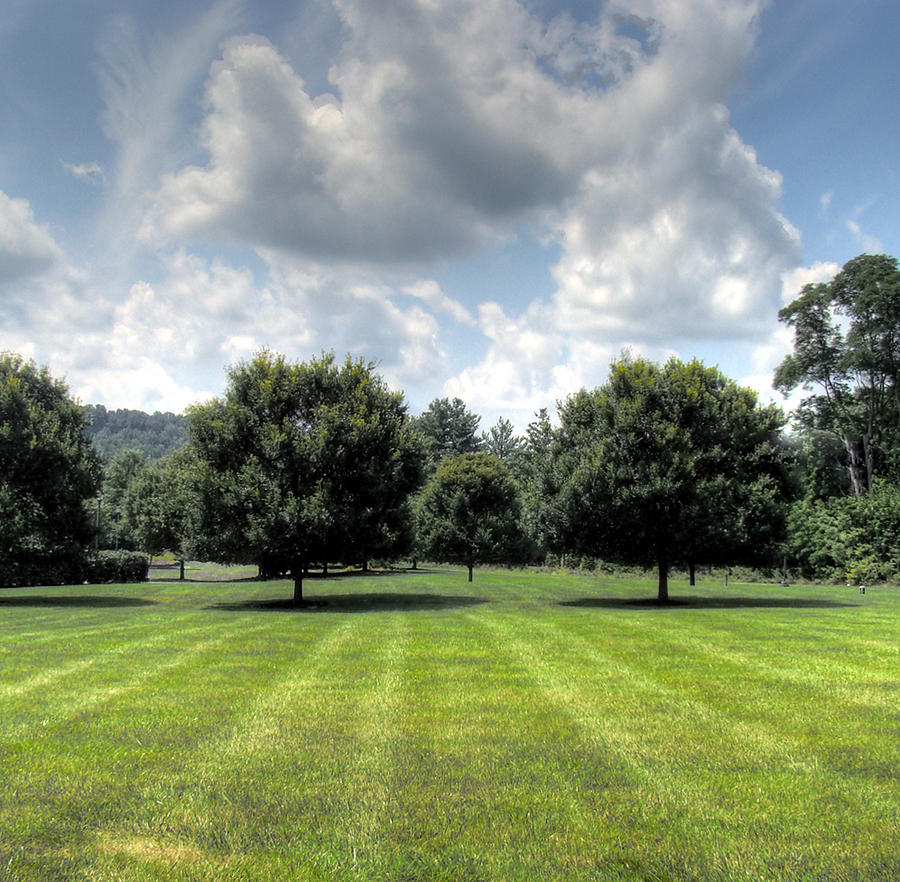 Fresh Cut Grass Photograph By James Sweeney