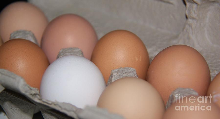 Fresh farm Eggs Photograph by Yumi Johnson