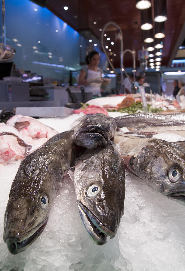 Fresh Fish On The Market Photograph