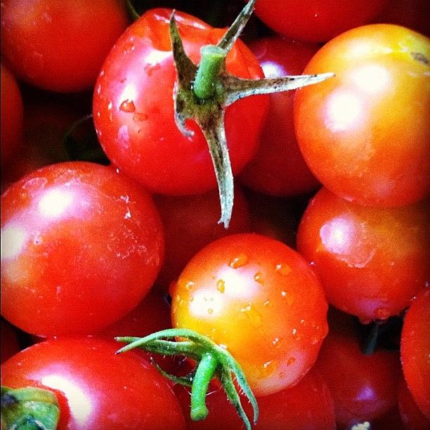 Tomato Photograph - Fresh From Our Garden.... Oh Happy by Vicki Damato