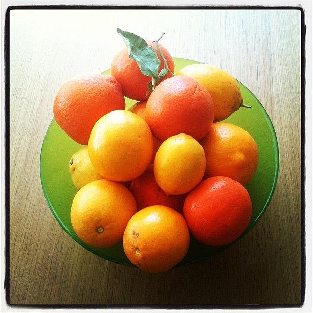 Fruit Photograph - Fresh From The Tree :) by Shelley Randles