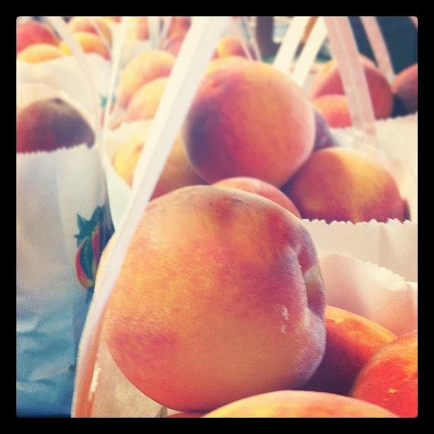Fresh Peaches :) Photograph by Dana Coplin
