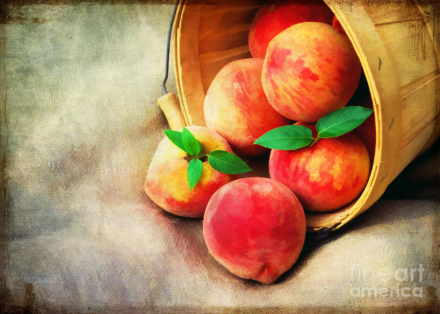 Fresh Peaches Photograph by Darren Fisher