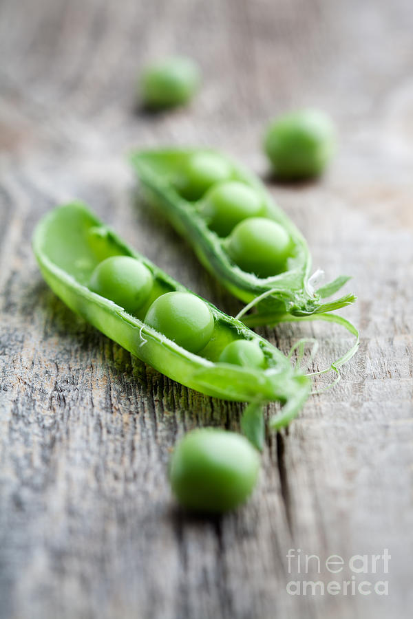 Fresh peas Photograph by Kati Finell