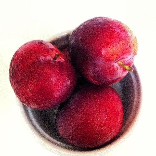 Summer Photograph - Fresh Picked Plums by Crystal Peterson