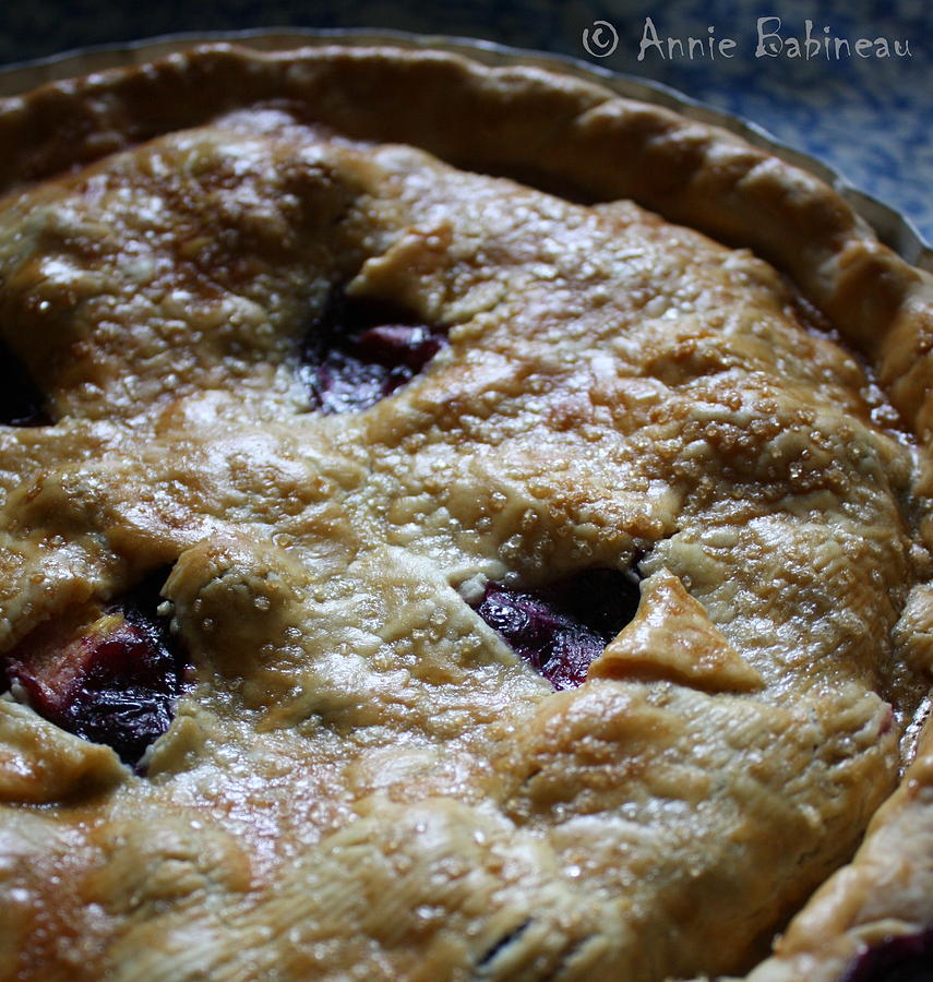 Blueberry Photograph - Fresh Pie by Annie Babineau