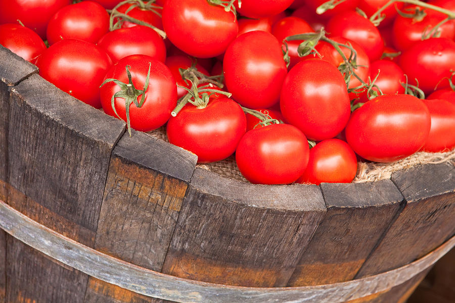 Nature Photograph - Fresh red tomatoes in a wooden bucket by Tom Gowanlock