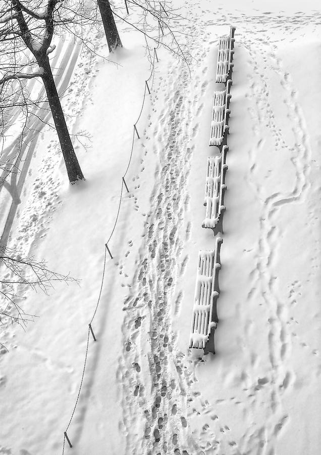 Winter Photograph - Fresh Snow by Evelina Kremsdorf