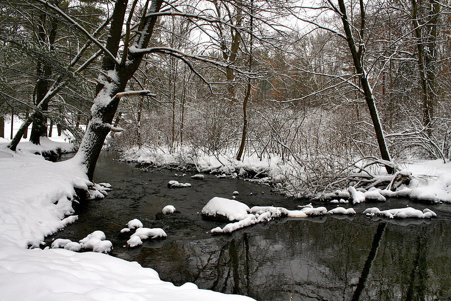 Fresh Snow On Creek Bank Photograph by Richard Gregurich