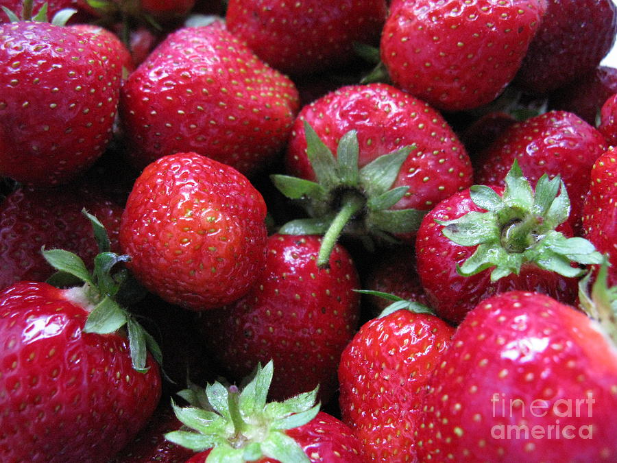 Nature Photograph - Fresh Strawberries by Ausra Huntington nee Paulauskaite